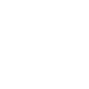 FKI logo