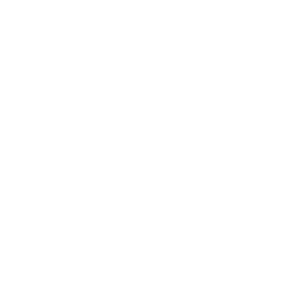 Loop Partners