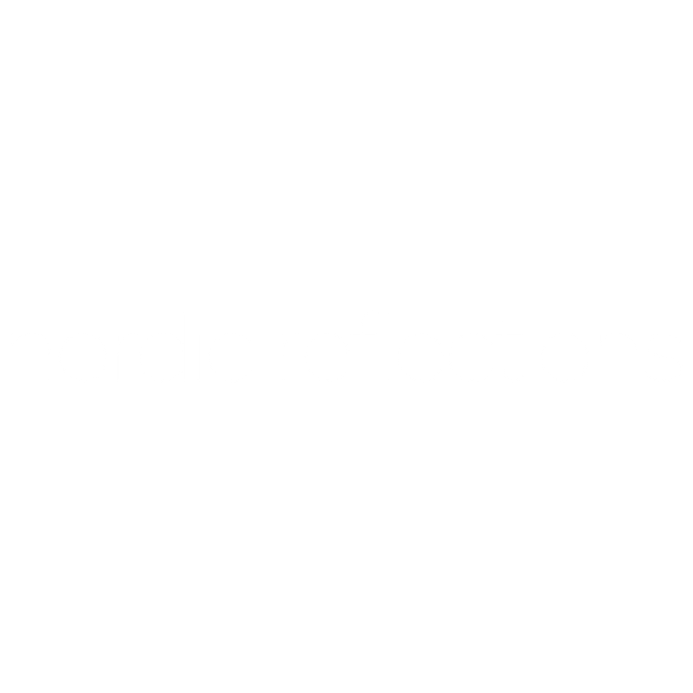 Nordic Reflections logo